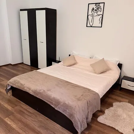 公寓 Madalina's House - Cozy 2-bedroom 布拉索夫