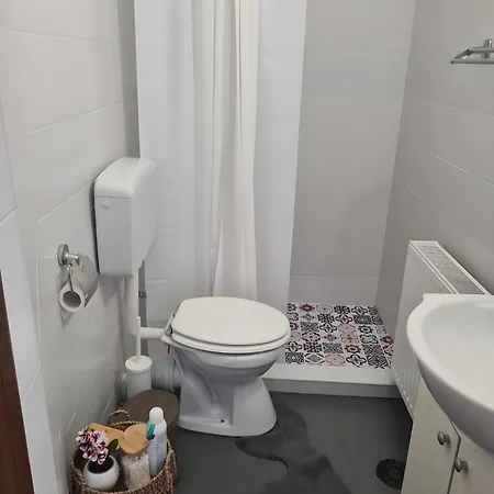 Apartman Madalina's House - Cozy 2-bedroom Brassó