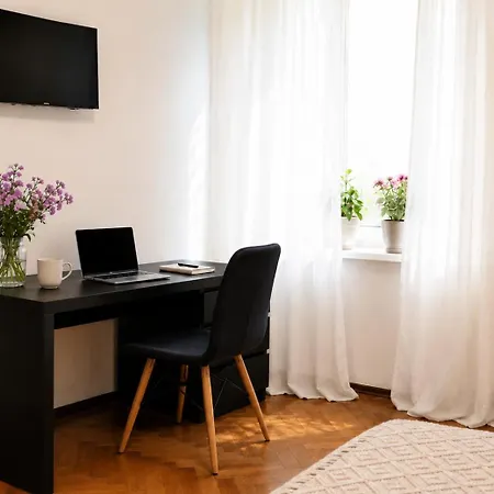 Apartment Madalina’s House Brasov