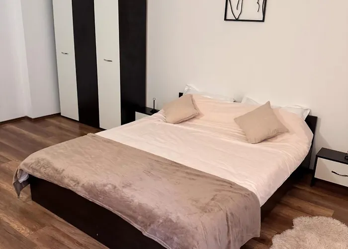 Apartment Madalina’s House Brasov