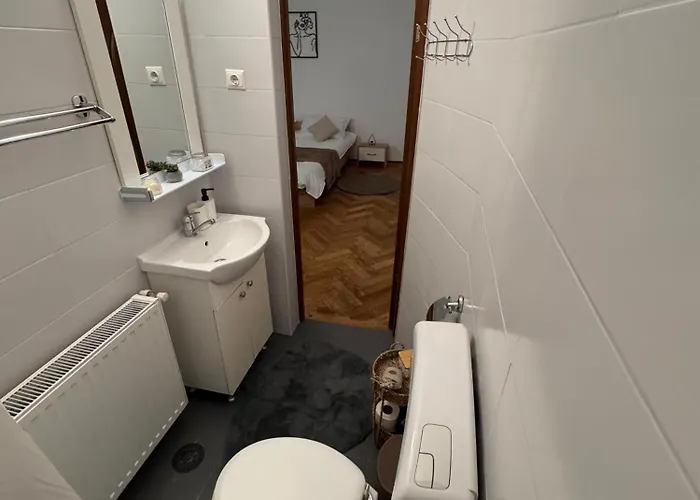 Madalina’s House Apartment Brasov