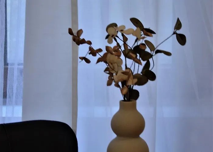 Madalina’s House *